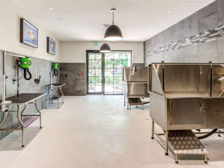 6600 Main apartments in Miami Lakes, FL – photo 18