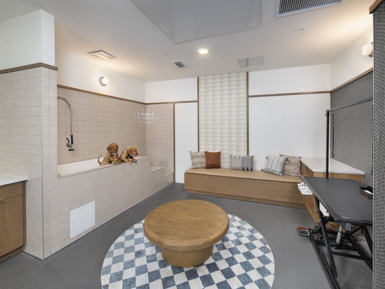 Alexan Roxy apartments in Coral Gables, FL – photo 28