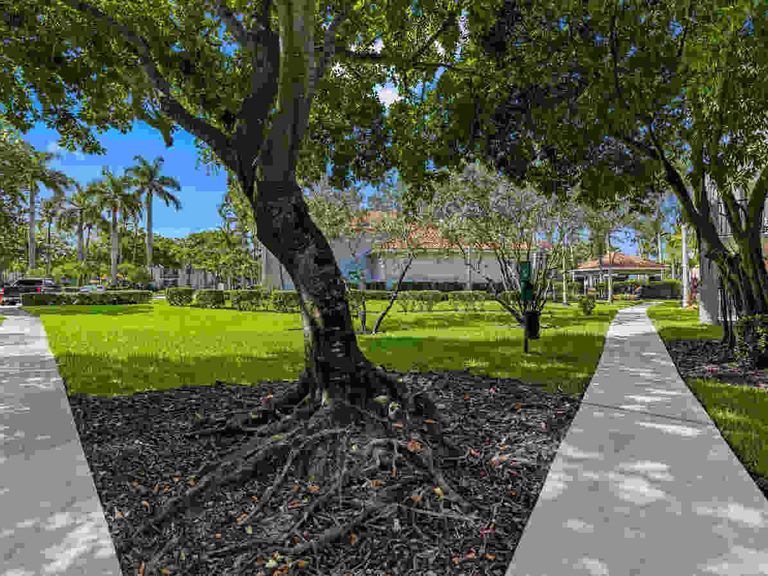 Coral Vista apartments in Tamarac, FL – photo 31
