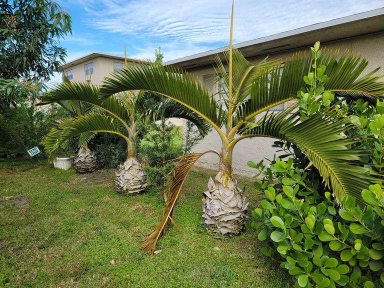 Cottage Cove apartments in Miami, FL – photo 14