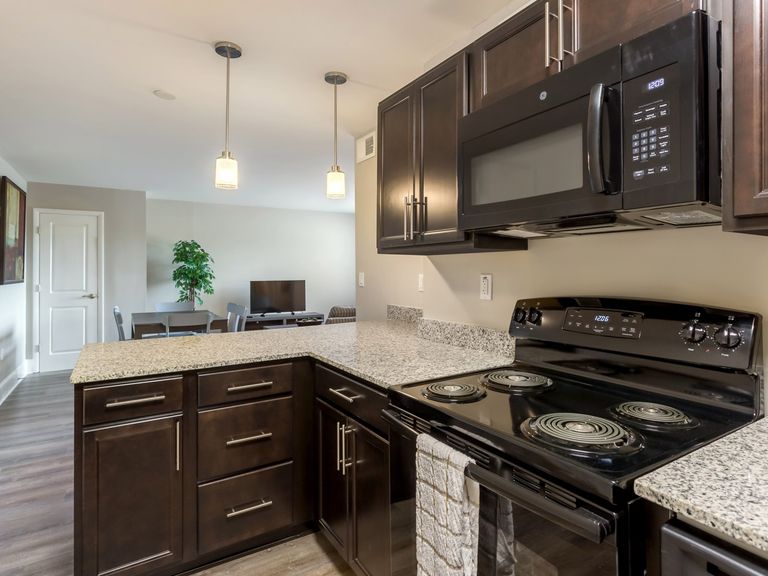 Halcyon apartments in Hollywood, FL – photo 11