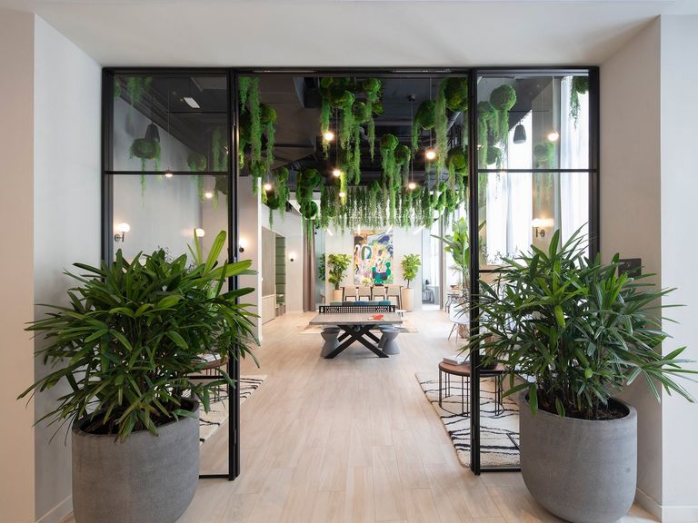 i5 Wynwood Co-Living apartments in Miami, FL – photo 8